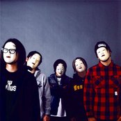 Fact - List pictures