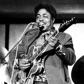 Johnny Shines - List pictures