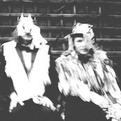 Higher Authorities - List pictures