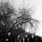 Great Northern - List pictures