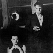 Coil - List pictures