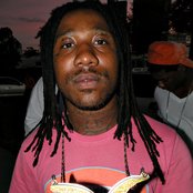 Frenchie - List pictures