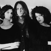 Tribe - List pictures