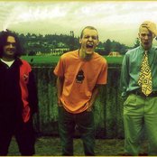 Presidents Of The Usa - List pictures