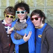Wombats - List pictures