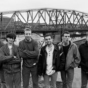 Happy Mondays - List pictures