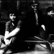 The 13th Floor Elevators - List pictures