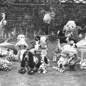 Pete Townshend - List pictures