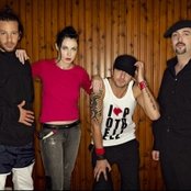 The Potbelleez - List pictures