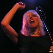 Rosebuds - List pictures