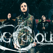 King Conquer - List pictures