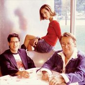 The Wilkinsons - List pictures