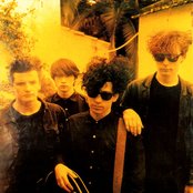 Jesus And Mary Chain - List pictures