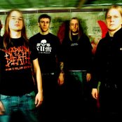 Maroon - List pictures