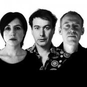 The Woodentops - List pictures