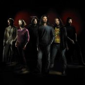 White Willow - List pictures