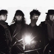 Real Life - List pictures