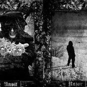 Fall - List pictures