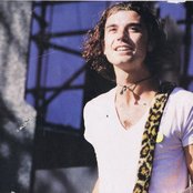 Bush - List pictures