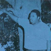 Lee Moses - List pictures