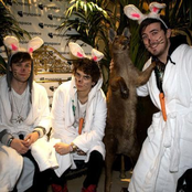 Midnight Beast - List pictures