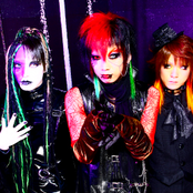 Beau - List pictures