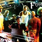 Fishbone - List pictures