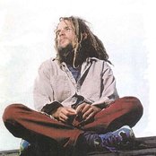 Mishka - List pictures