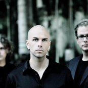 Mizan - List pictures