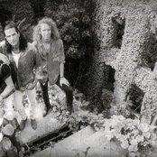 Giant - List pictures