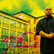 Bitza - List pictures