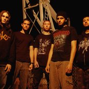 Job For A Cowboy - List pictures