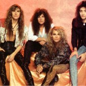 White Lion - List pictures