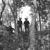 The Body - List pictures