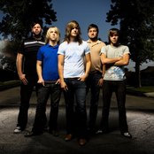 Ivoryline - List pictures