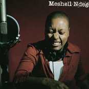 Me'shell Ndegéocello - List pictures