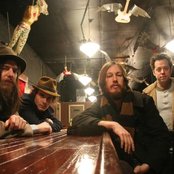 Vetiver - List pictures