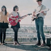 Veronica Falls - List pictures