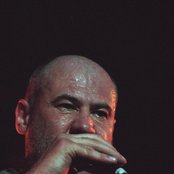 Fish - List pictures