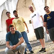 Casuarina - List pictures