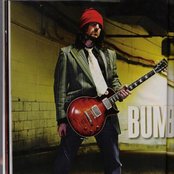 Bumblefoot - List pictures