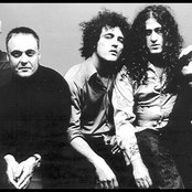 M-clan - List pictures