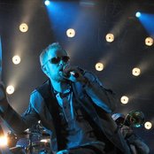 Peter Fox - List pictures