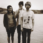 Paws - List pictures