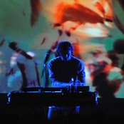 Panda Bear - List pictures
