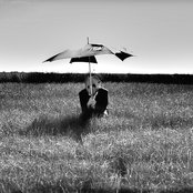 Electric President - List pictures