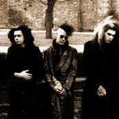 Mephisto Walz - List pictures