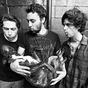 Mini Mansions - List pictures