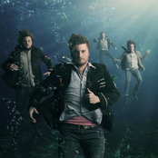 Seabird - List pictures