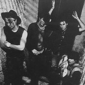 T.s.o.l. - List pictures